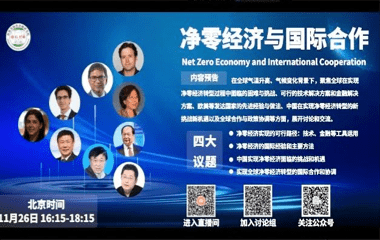 海南省绿色金融研究院举办“绿色金融与国际合作”论坛