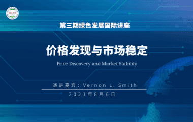 第3期：价格发现与市场稳定性