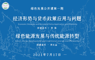 经济形式与货币政策应用和问题  绿色能源发展与传统能源转型