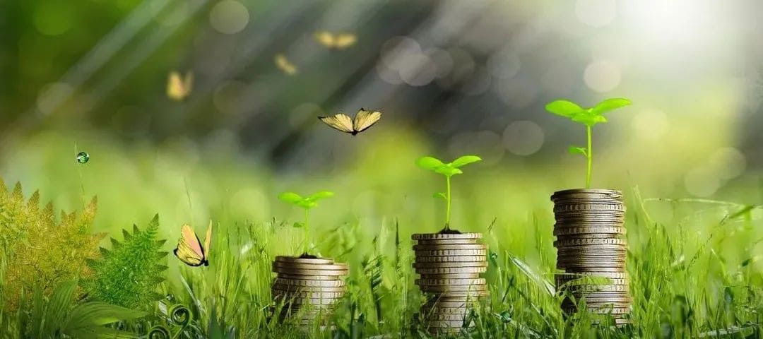绿色金融助力生物多样性